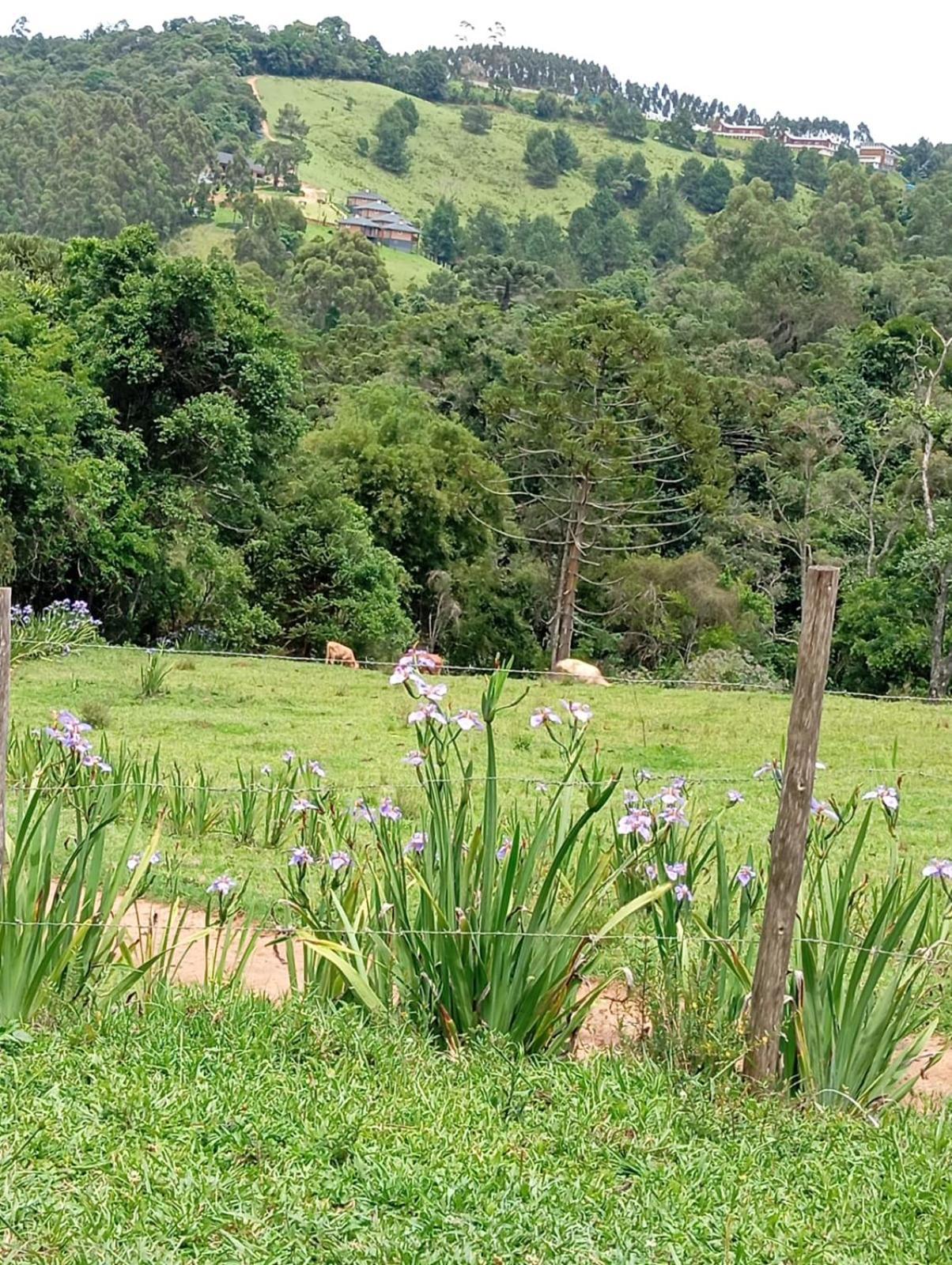 Chale Fazenda Refugio Do Vale Villa Monte Verde  Luaran gambar